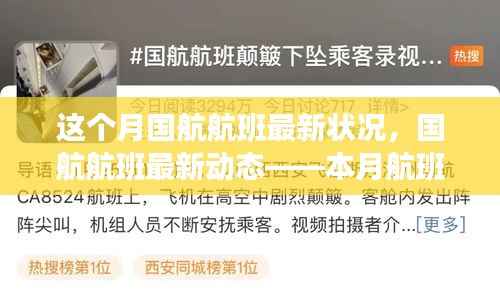 本月国航航班最新动态与状况概览