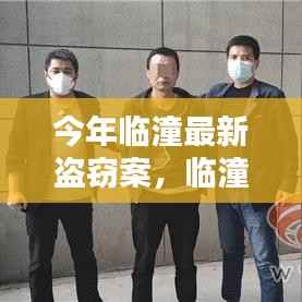 临潼最新盗窃案及其深度解析