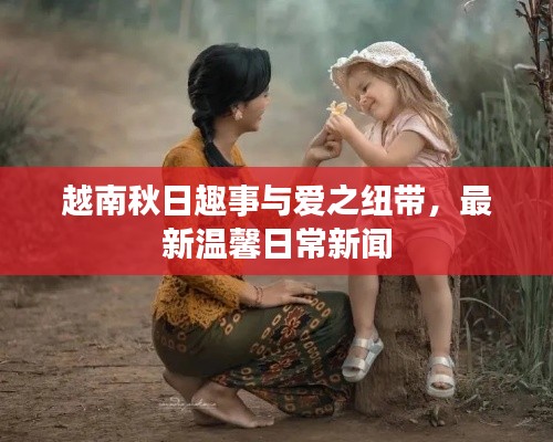 越南秋日趣事与爱之纽带,最新温馨日常新闻