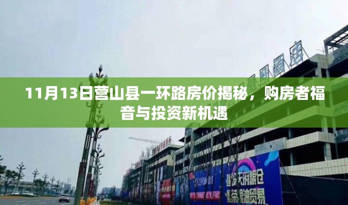 11月13日营山县一环路房价揭秘,购房者福音与投资新机遇