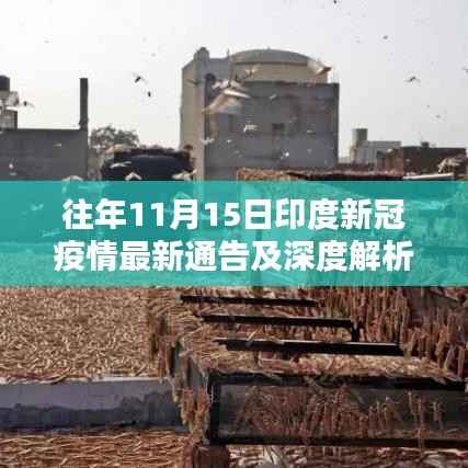 往年11月15日印度新冠疫情最新通告及深度解析