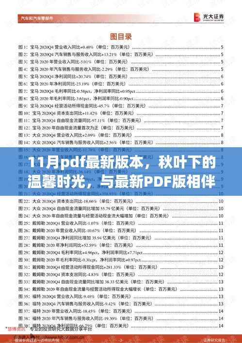 秋叶下的十一月奇遇记,最新PDF版相伴的温馨时光