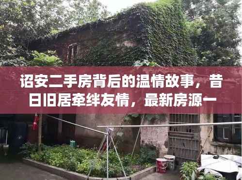 诏安二手房背后的温情故事,昔日旧居牵绊友情,最新房源一览表