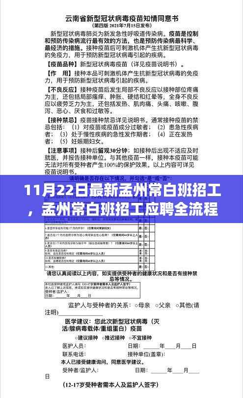 孟州常白班招工信息全解析,应聘指南与初学者进阶攻略