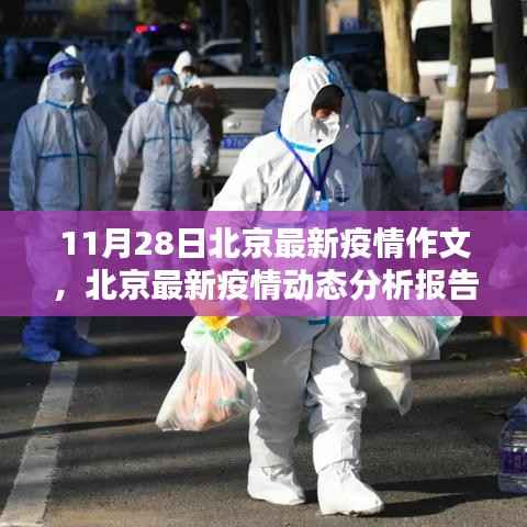北京最新疫情深度报告,动态分析、评测与介绍(以11月28日为例)