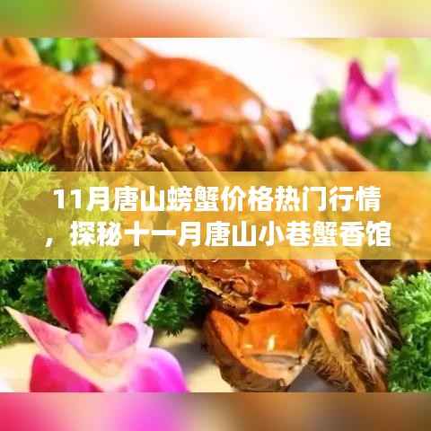 探秘唐山小巷蟹香馆,十一月螃蟹行情与独特美味之旅