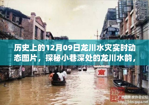 龙川水灾历史与实时动态，洪水记忆之旅探秘小巷深处的韵味