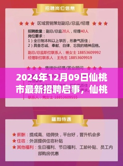 仙桃市最新招聘启事,职场精英的新机遇(2024年12月)