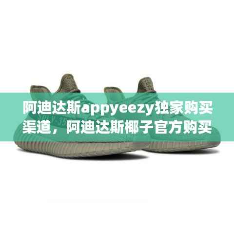 阿迪达斯appyeezy独家购买渠道,阿迪达斯椰子官方购买渠道