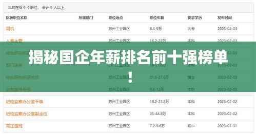 揭秘国企年薪排名前十强榜单!