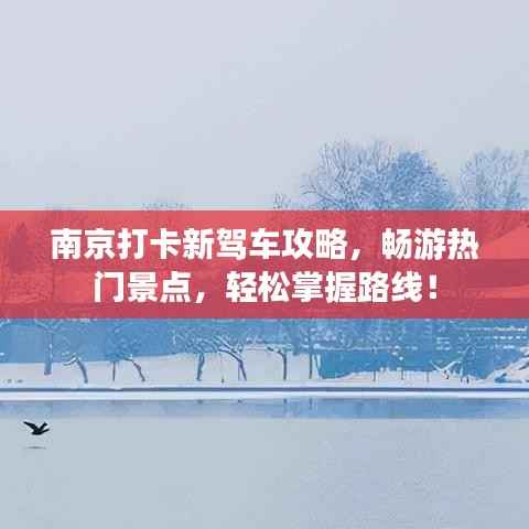 南京打卡新驾车攻略,畅游热门景点,轻松掌握路线!