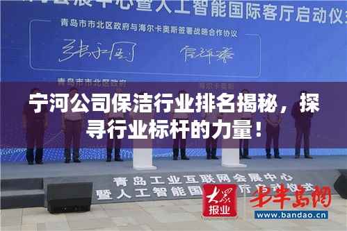 宁河公司保洁行业排名揭秘，探寻行业标杆的力量！