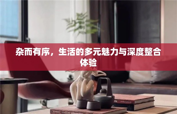 杂而有序,生活的多元魅力与深度整合体验